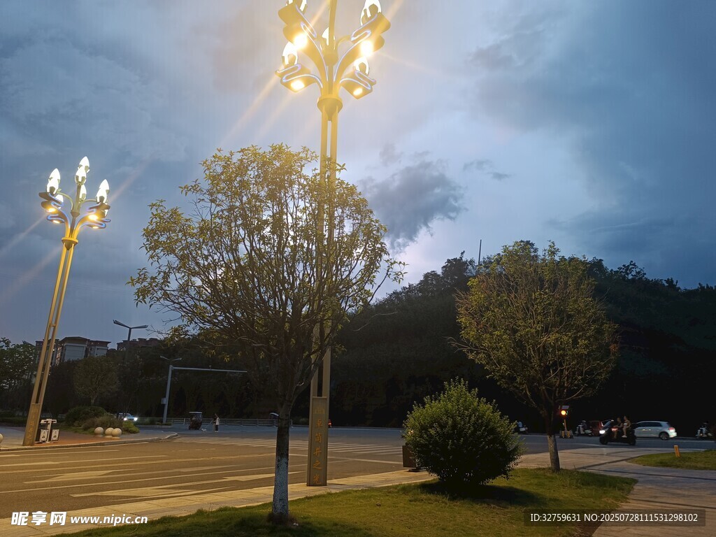 黄昏下的路灯与树木景观