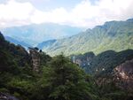 朱雀森林