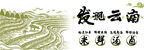发现云南