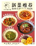 新菜推荐