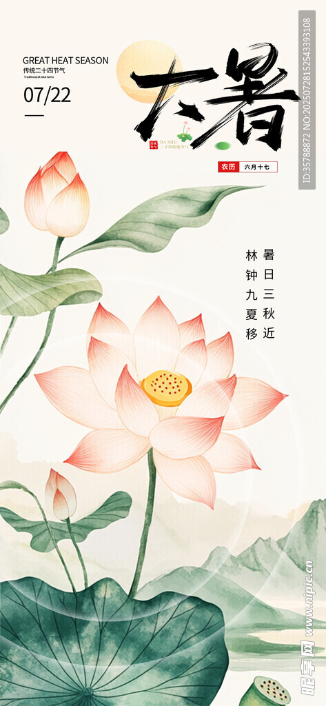 夏日荷花图