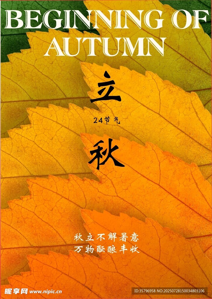 立秋时节的多彩秋叶