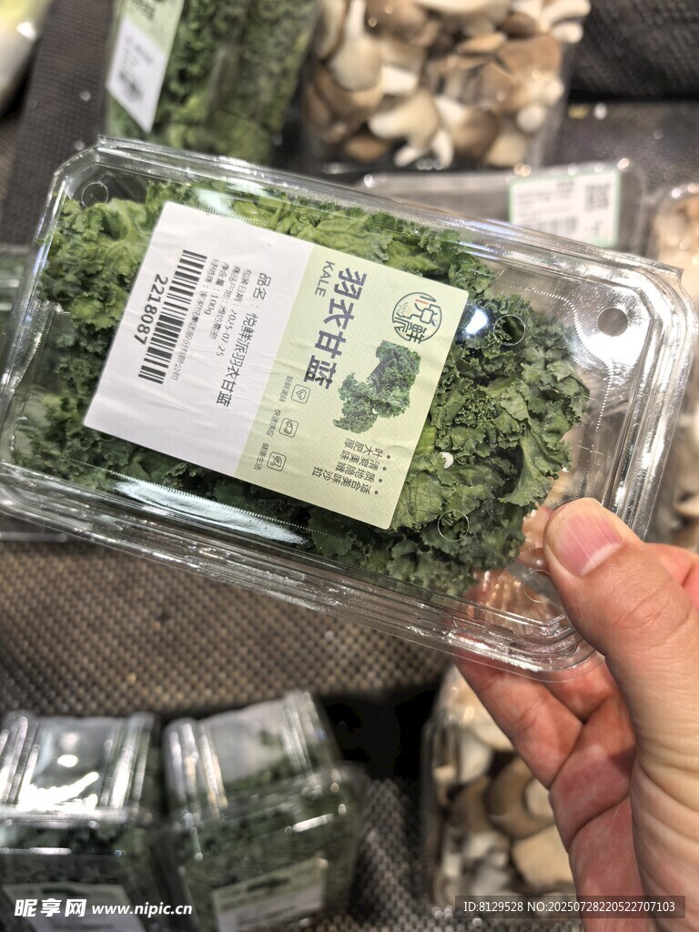 手持罐装绿色植物