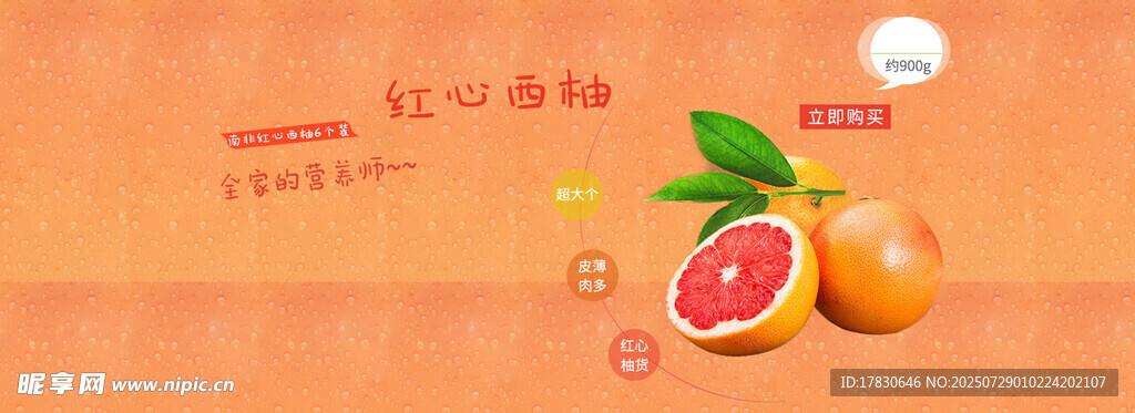清新柑橘主题水果插画