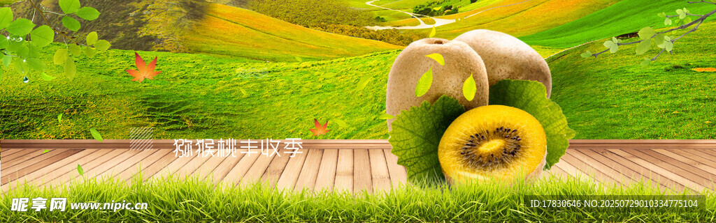 卡通蜗牛漫步于田园小径