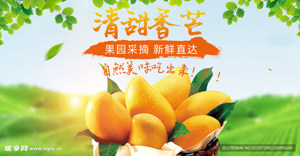 芒果横幅广告