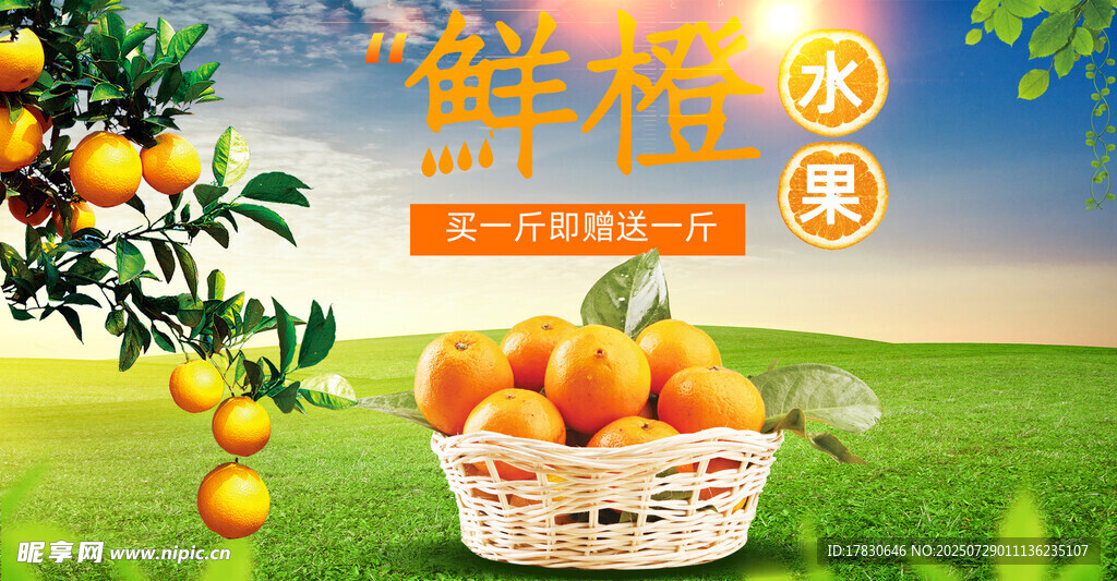 橙子横幅广告
