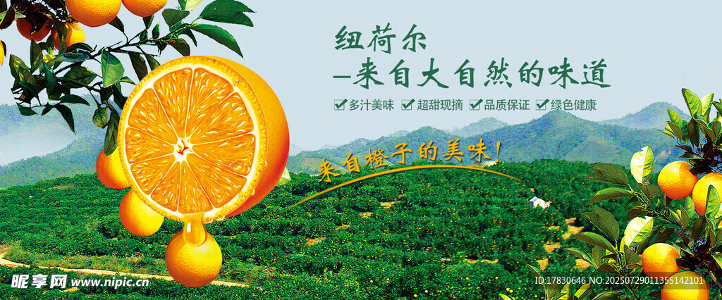 橙子横幅广告