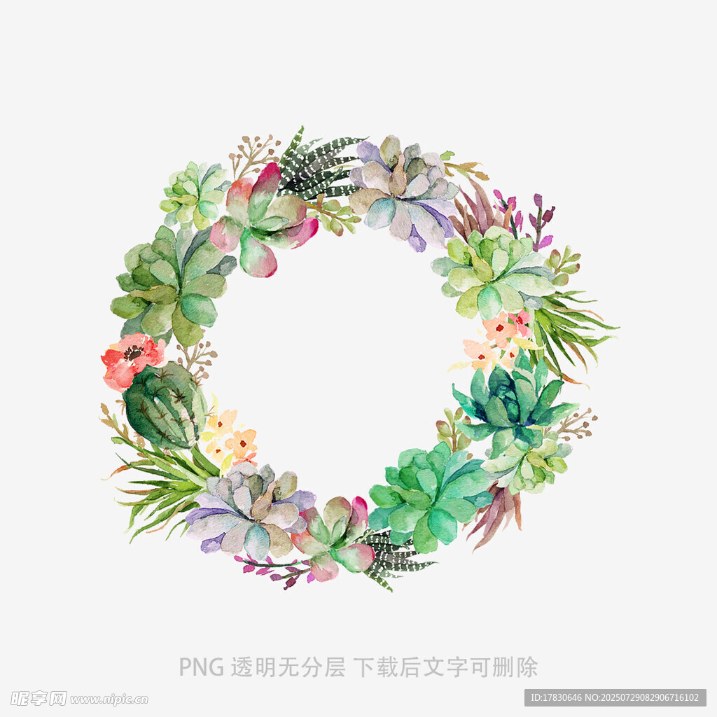 多彩多肉花环创意设计