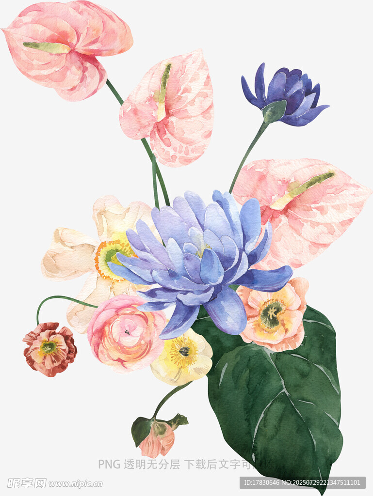 水彩绘多彩花卉组合