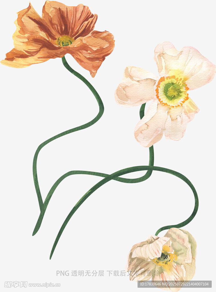 手绘三色花朵插画