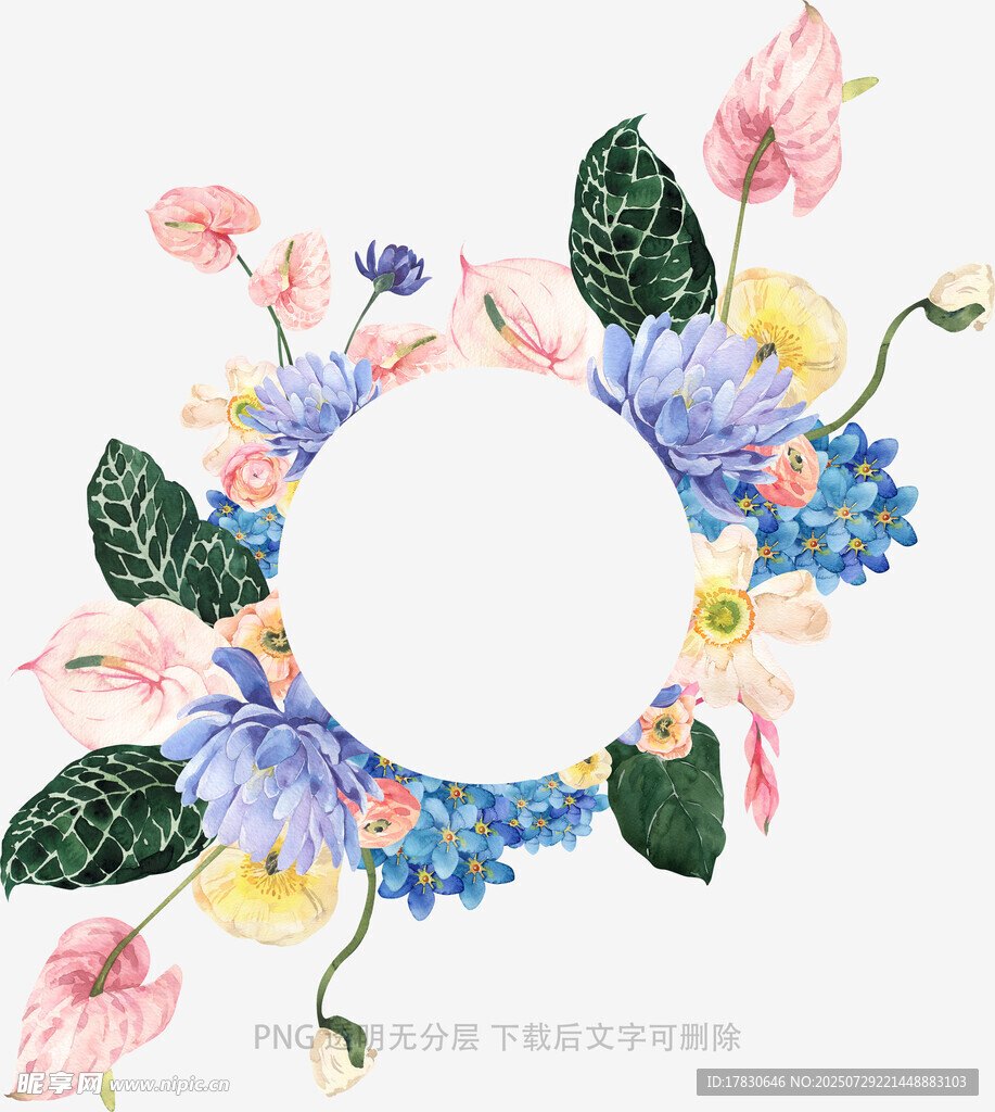 手绘花卉圆形装饰图案