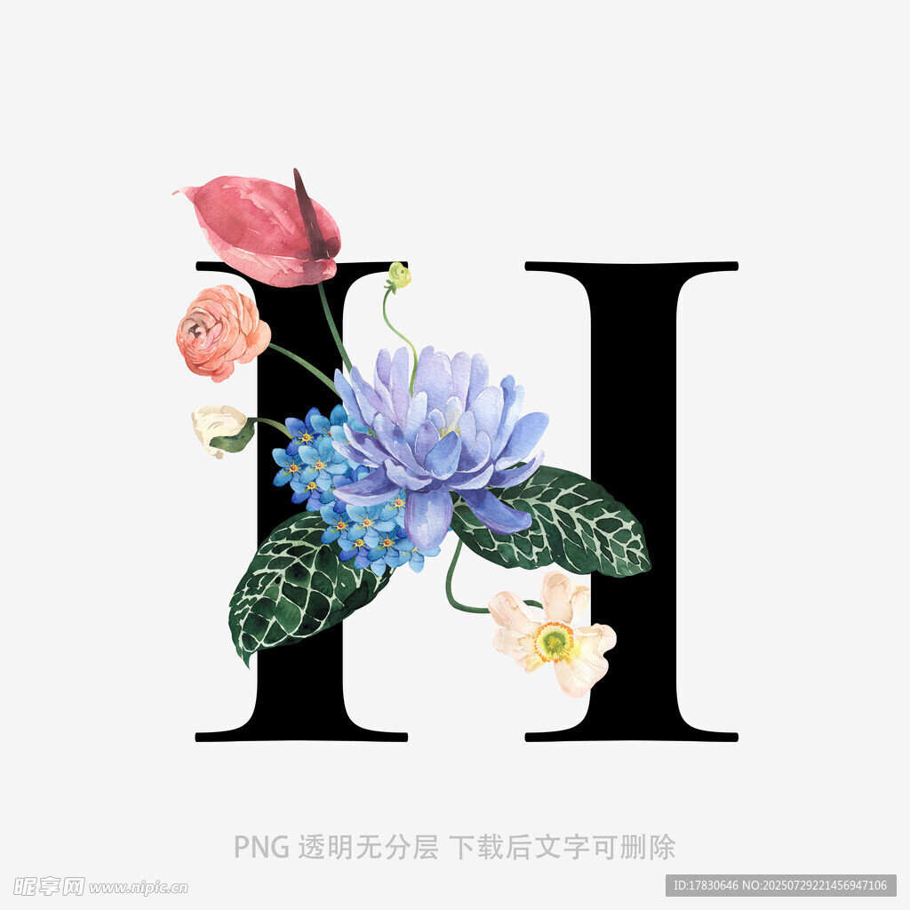 花卉装饰的字母H