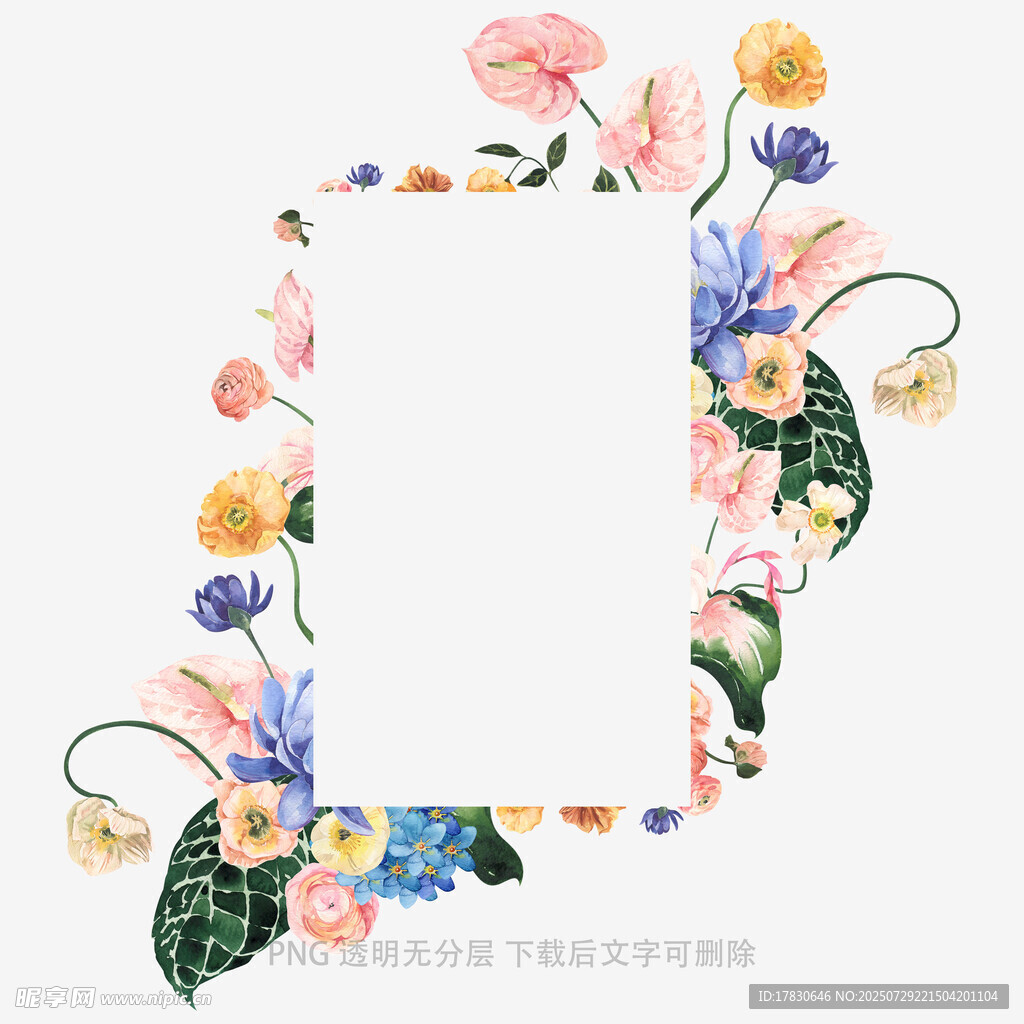花卉边框装饰空白图片