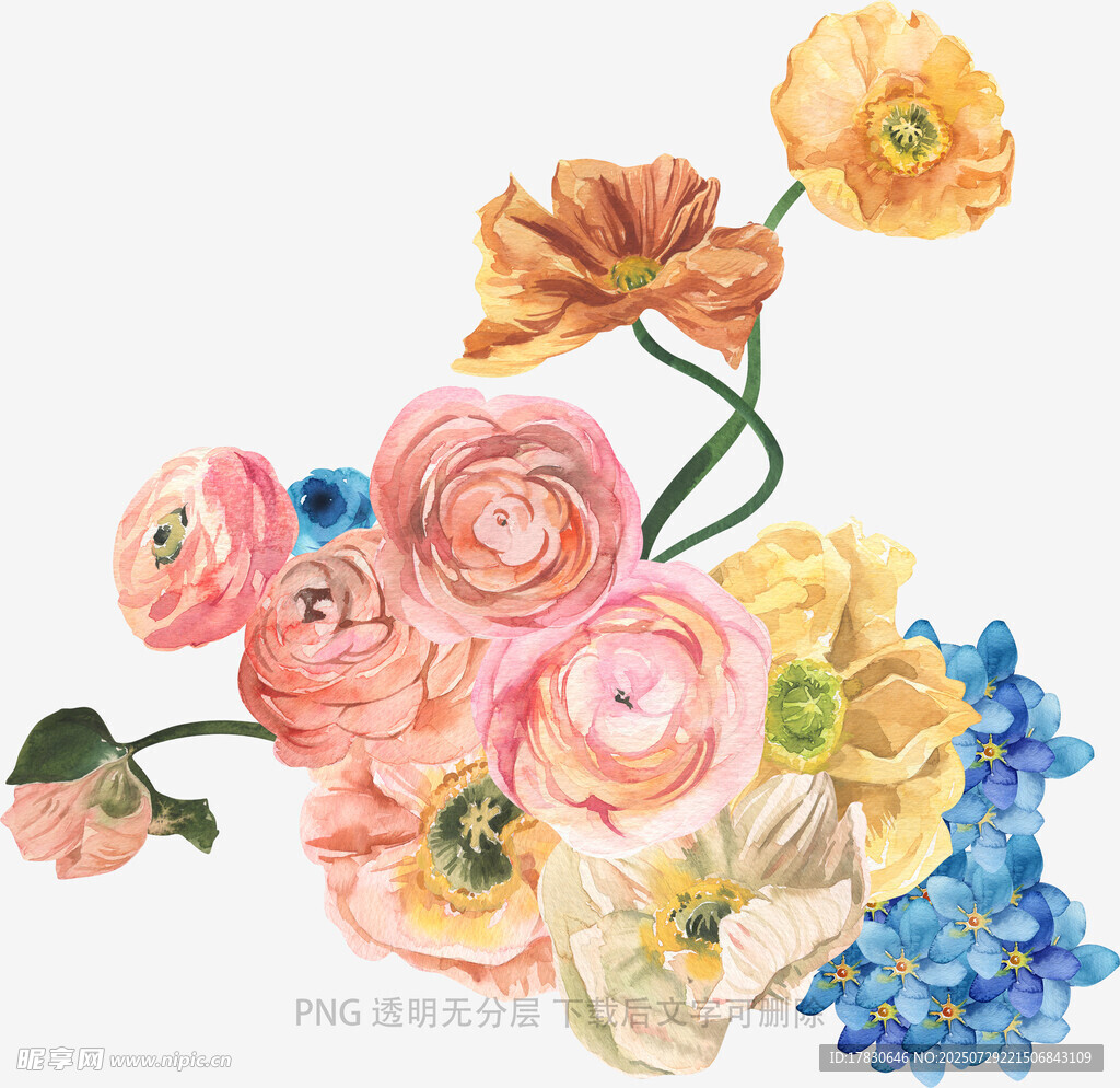 水彩绘多彩花卉组合