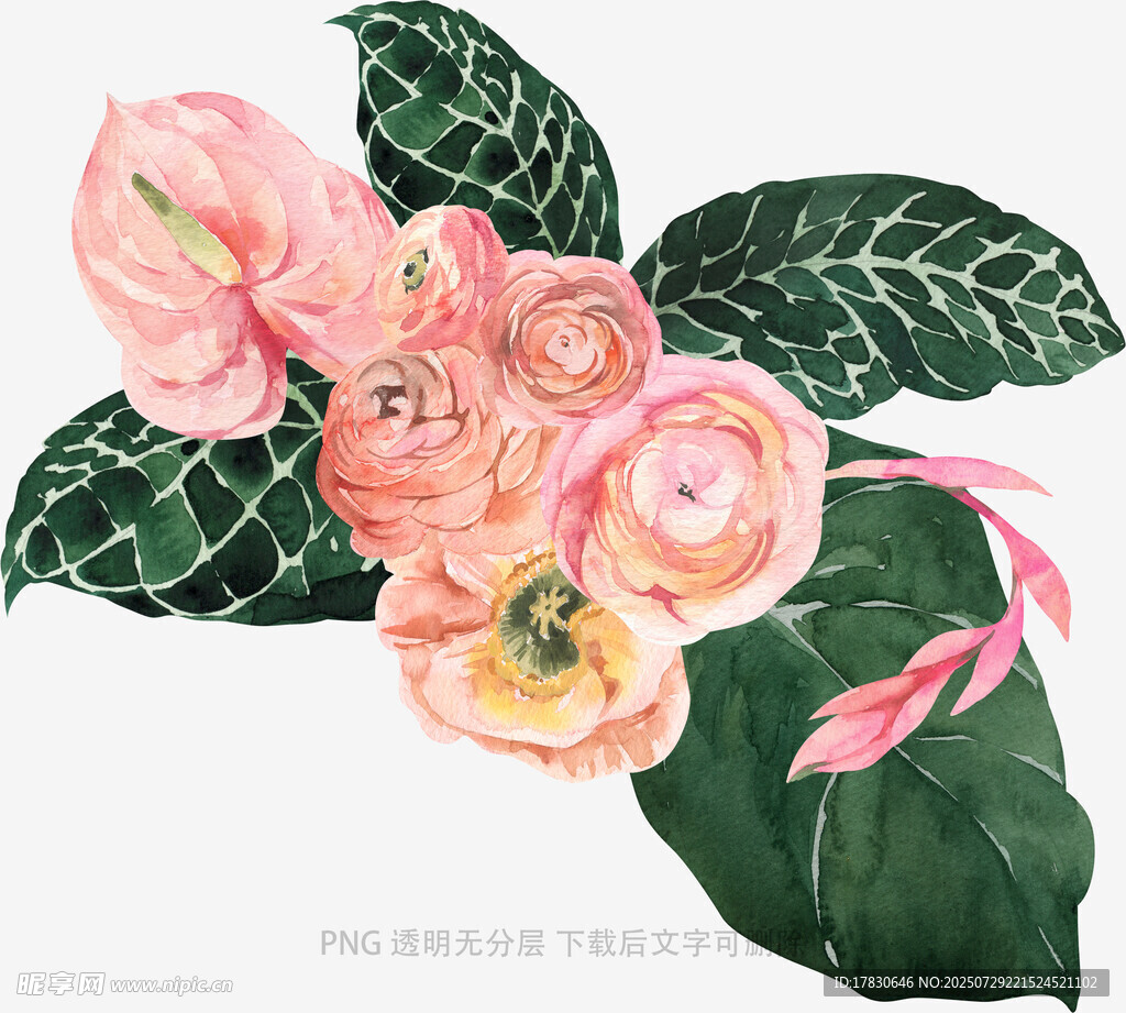 粉色花卉与绿叶插画