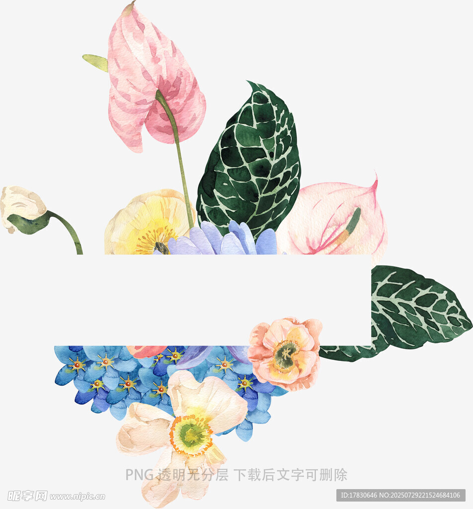 水彩花卉插画