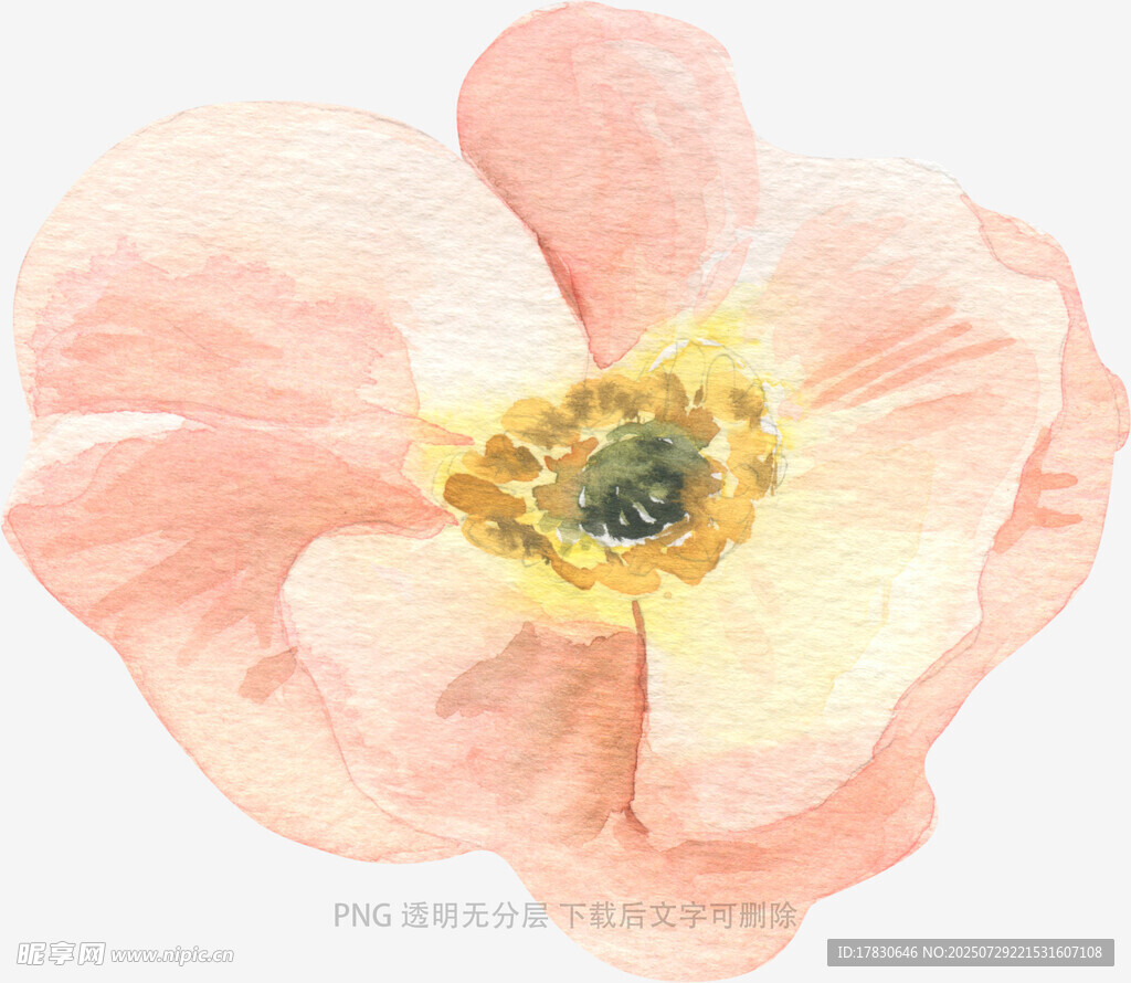 粉色水彩花朵插画