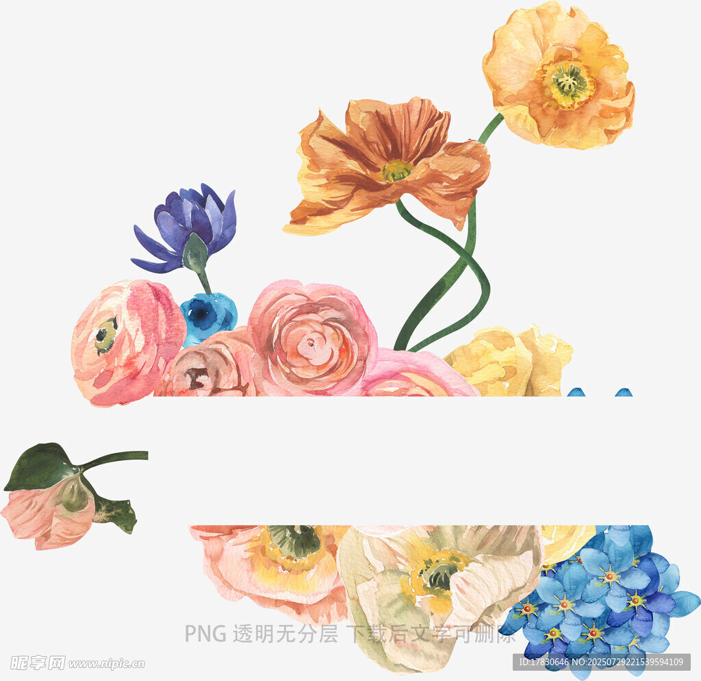 水彩花卉组合插画素材