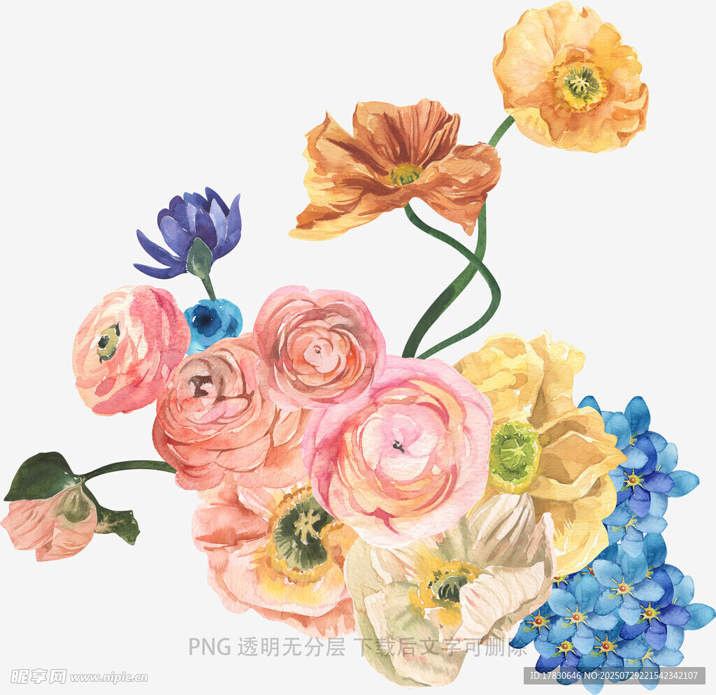 水彩绘多彩花卉组合