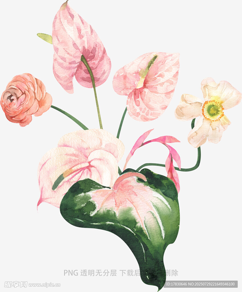手绘粉色花卉植物插画