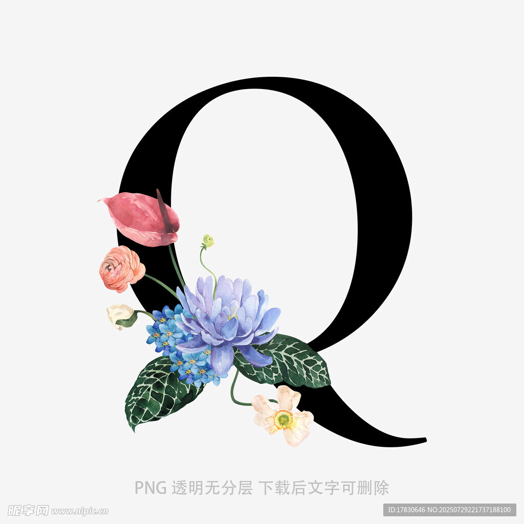 花卉装饰的字母Q