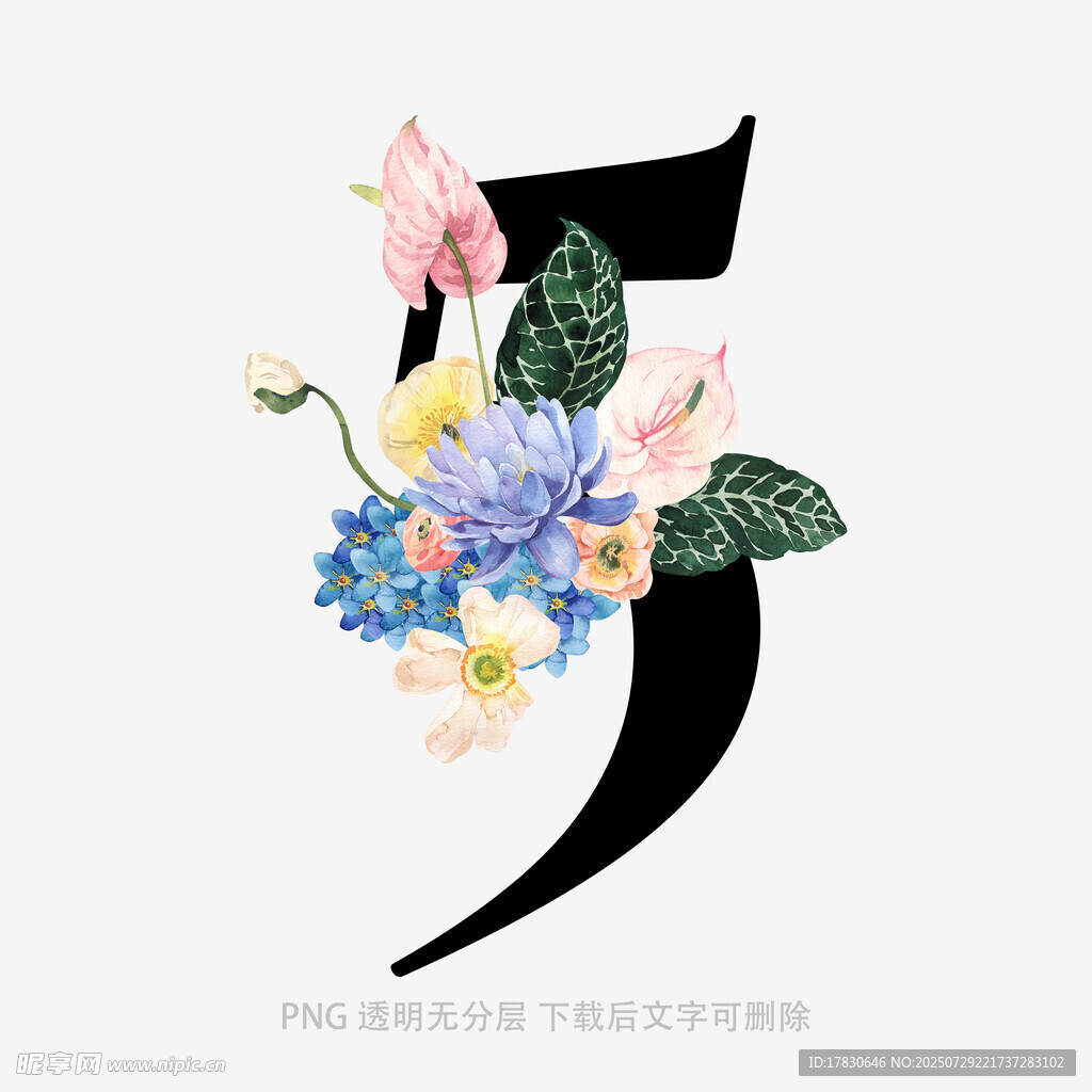 花卉装饰的数字5艺术图案
