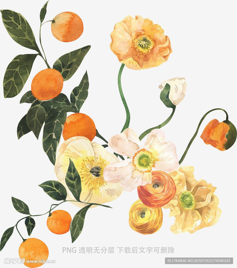 花卉与果实的清新插画
