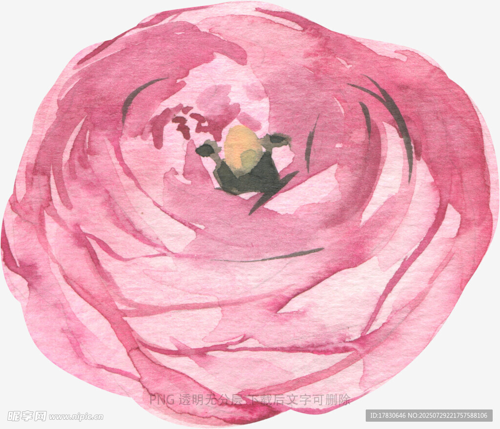 手绘粉色花朵水彩画