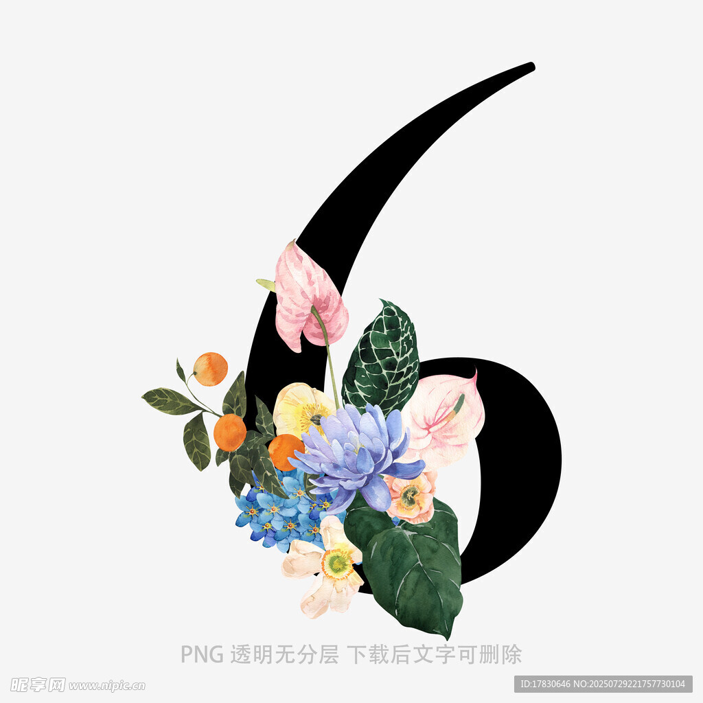 花卉装饰的数字6