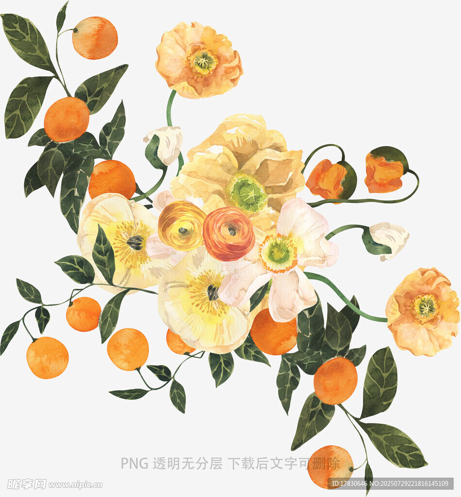 手绘黄橙花卉枝叶图