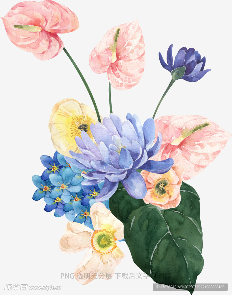 水彩花卉