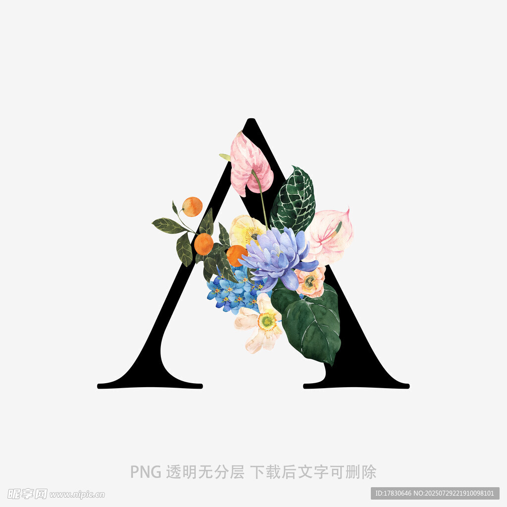 字母A中的花卉与人物插画