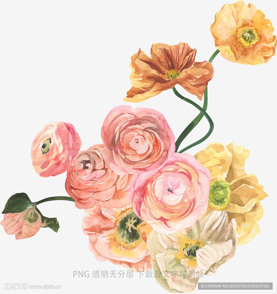 手绘多彩花卉插画