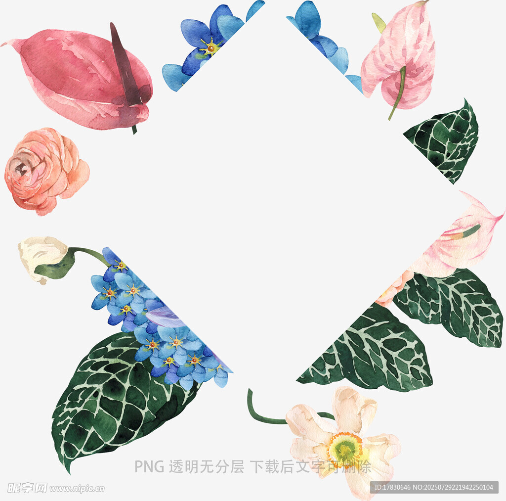 花卉环绕的空白背景画面
