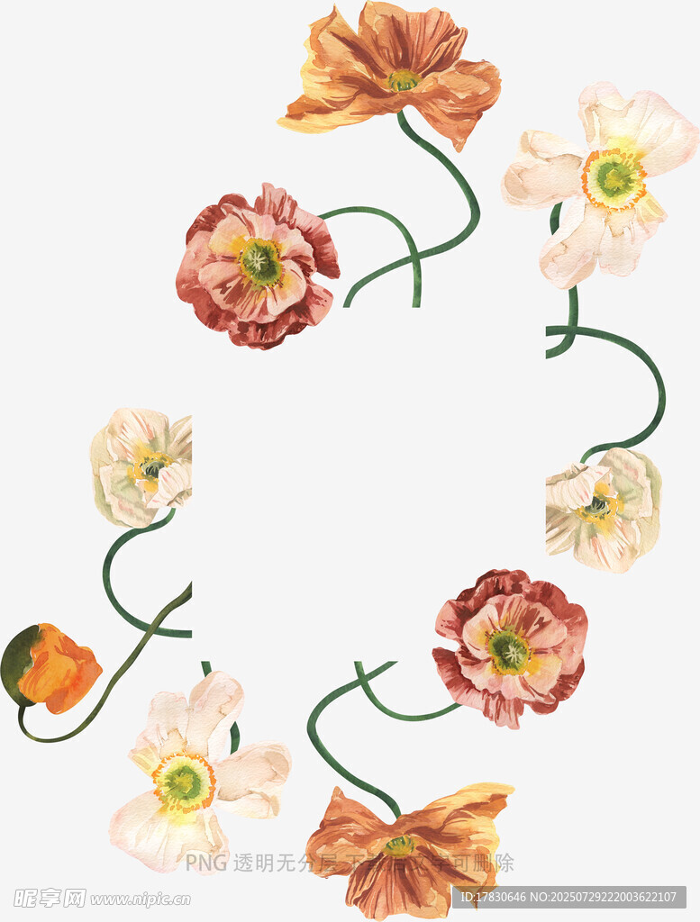 花卉环绕图案