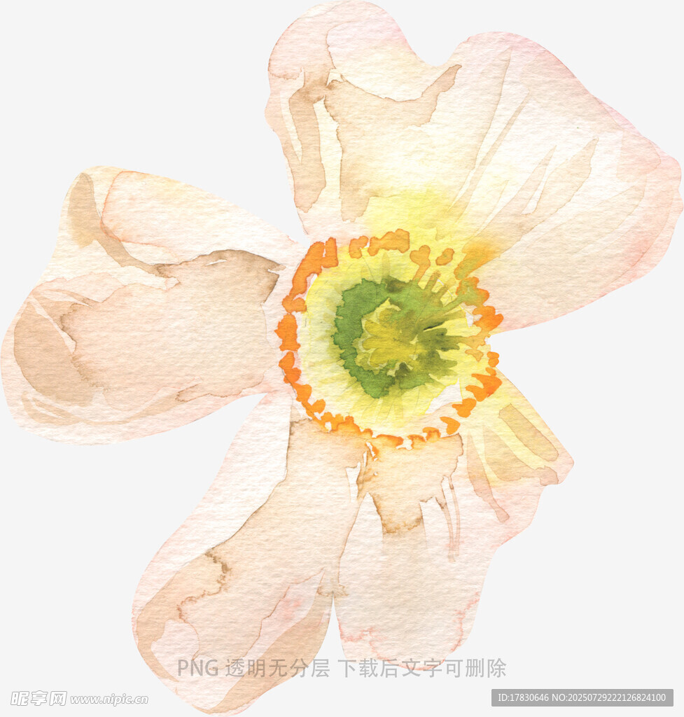 淡色花朵水彩画作品