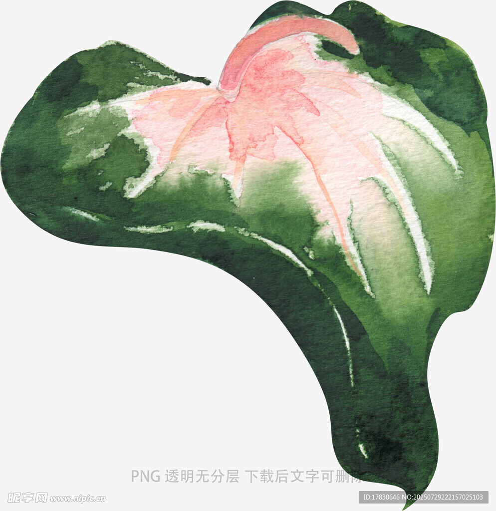 水墨风粉色花朵绿叶插画