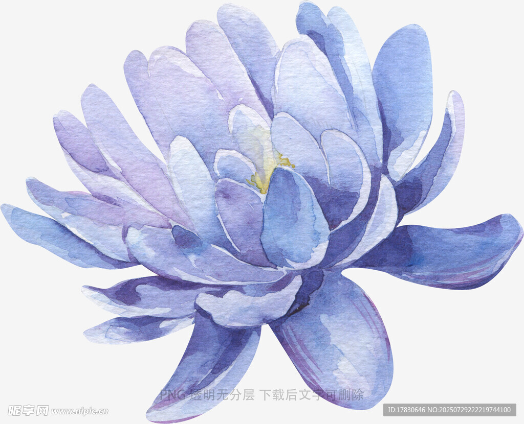 水彩绘梦幻紫色莲花