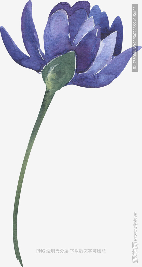 蓝色花朵水彩画