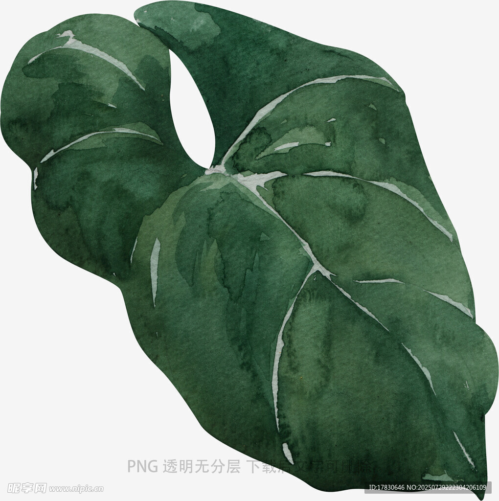 水彩风绿色心形叶片