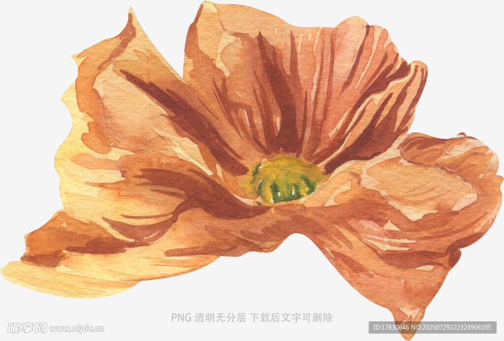 橙色花朵水彩画