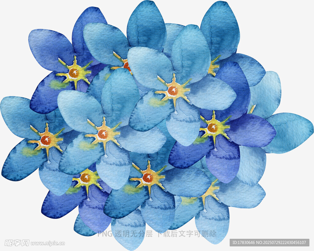 蓝色小花水彩画花卉图案