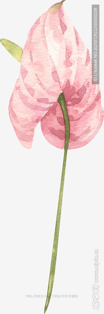 粉色手绘单枝花朵