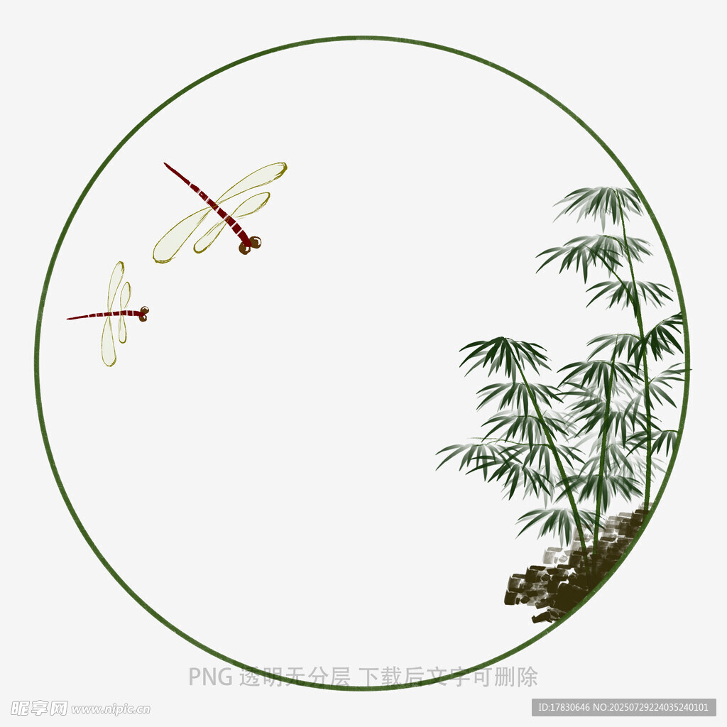 圆形画面中的蜻蜓与翠竹