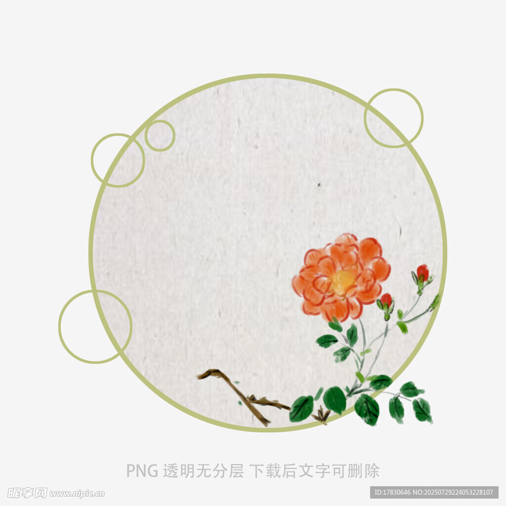 圆形框中绽放的娇艳玫瑰