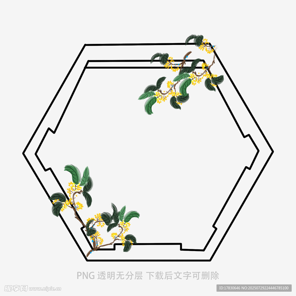 六边形花卉中式边框图案