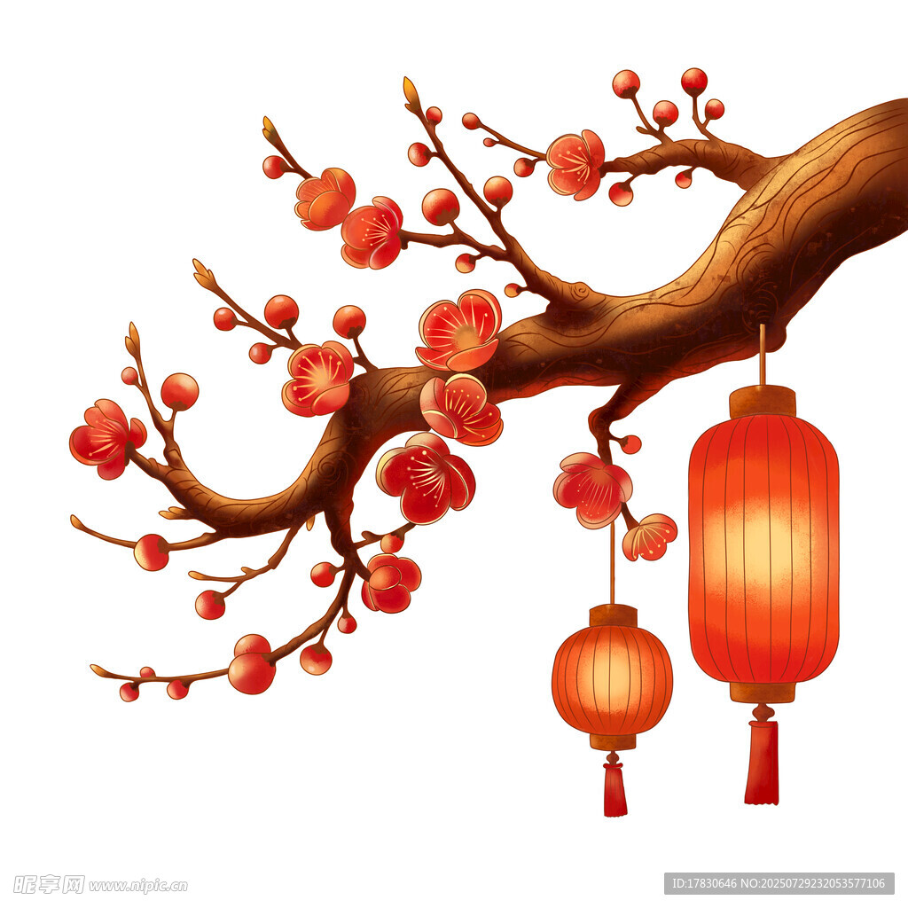 红梅枝头挂灯笼迎新春