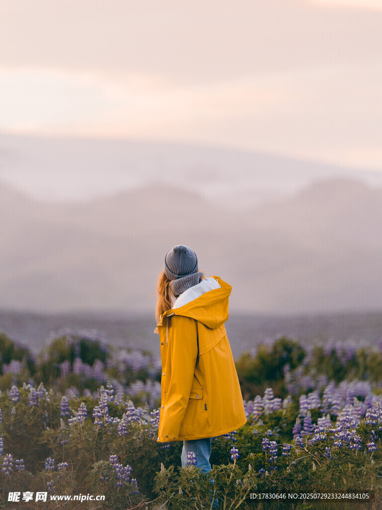 穿黄衣者于花海中赏景