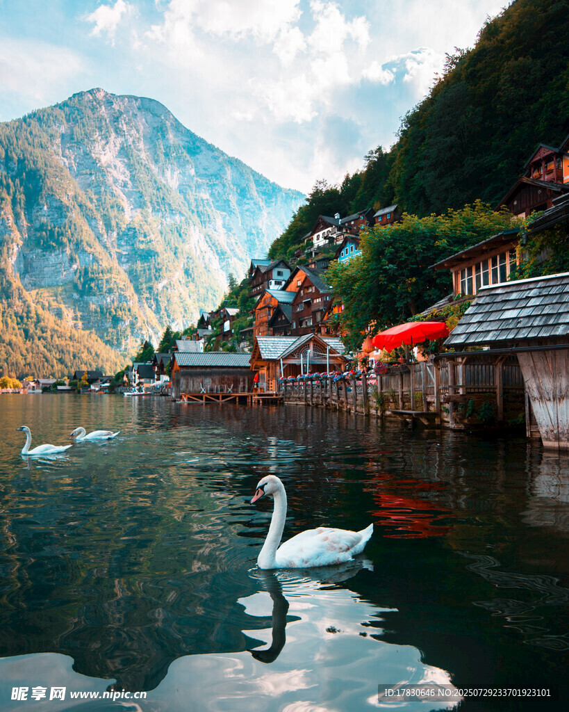 湖畔天鹅与山间小镇美景